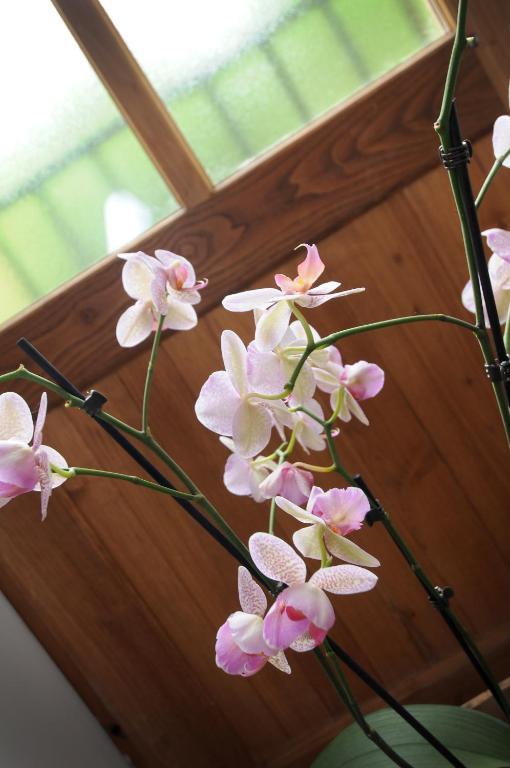 Les Songes De L'Abbaye Bed & Breakfast Cadouin Bilik gambar
